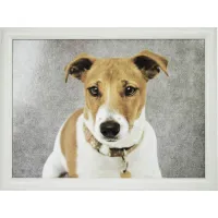 Kniedienblad met kussen eronder Laptray schootkussen wit rand Jack Russell